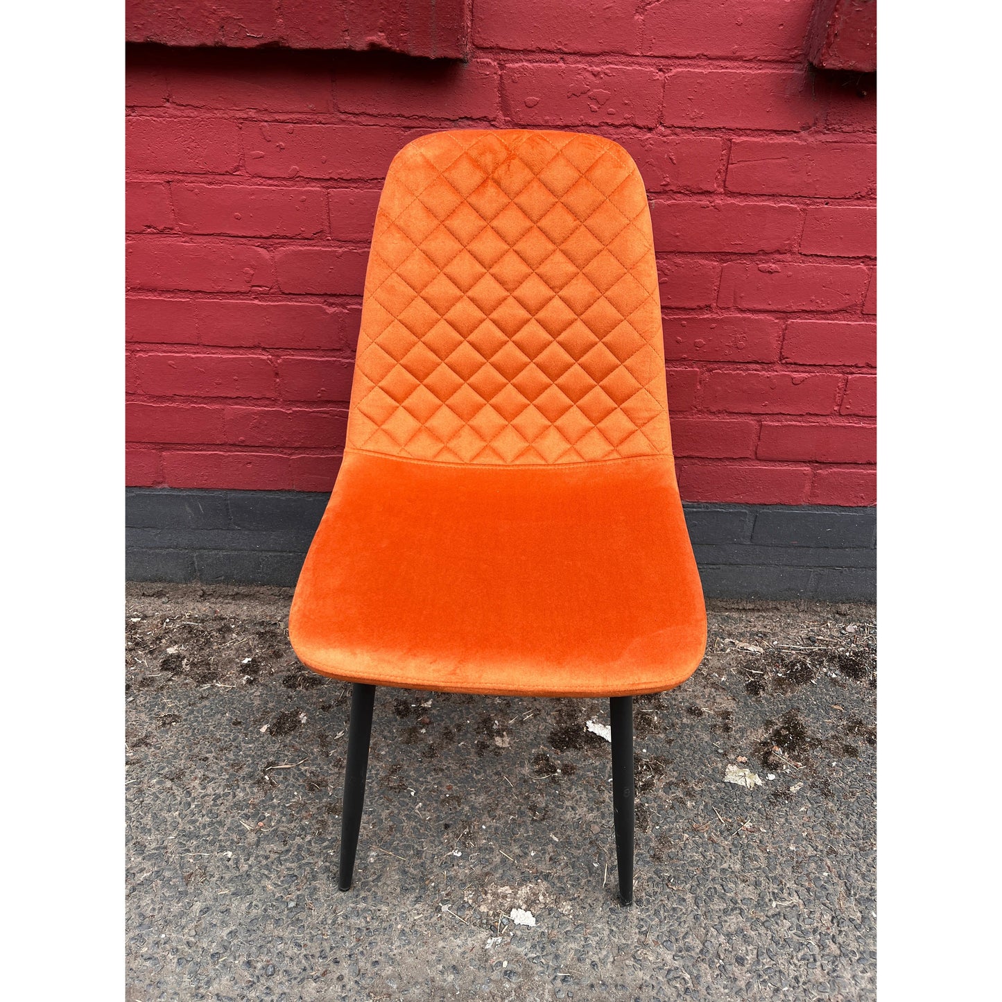 Modern Dining Chairs with Sleek Black Metal Legs Multiple Colours